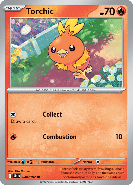 Torchic - DRI 040/182